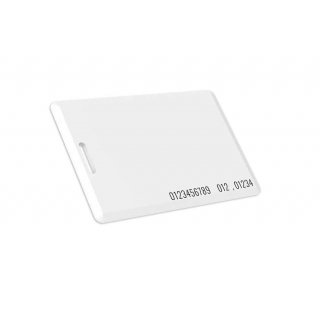 1-WIRE RFID карта