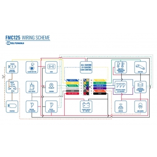 GPS Терминал Teltonika FMC125 - схема подключения